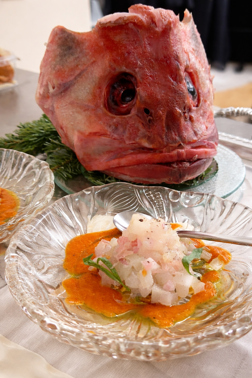 Red Snapper